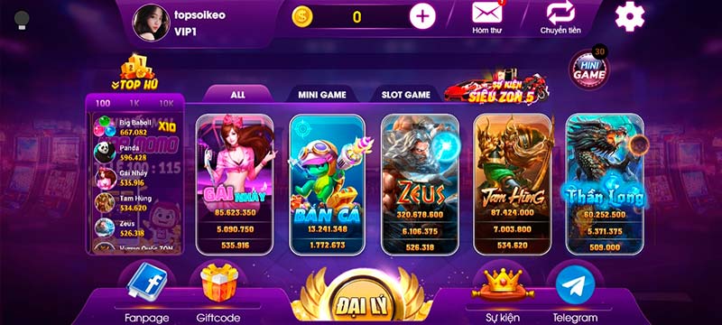 zonvip win
